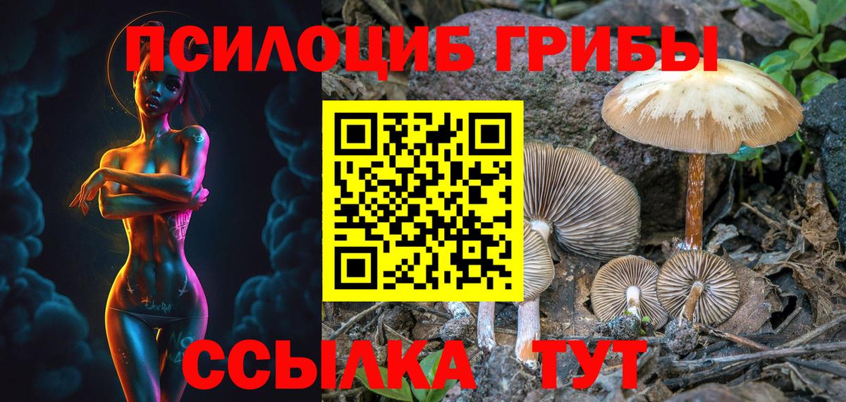 ГАШ Петрозаводск