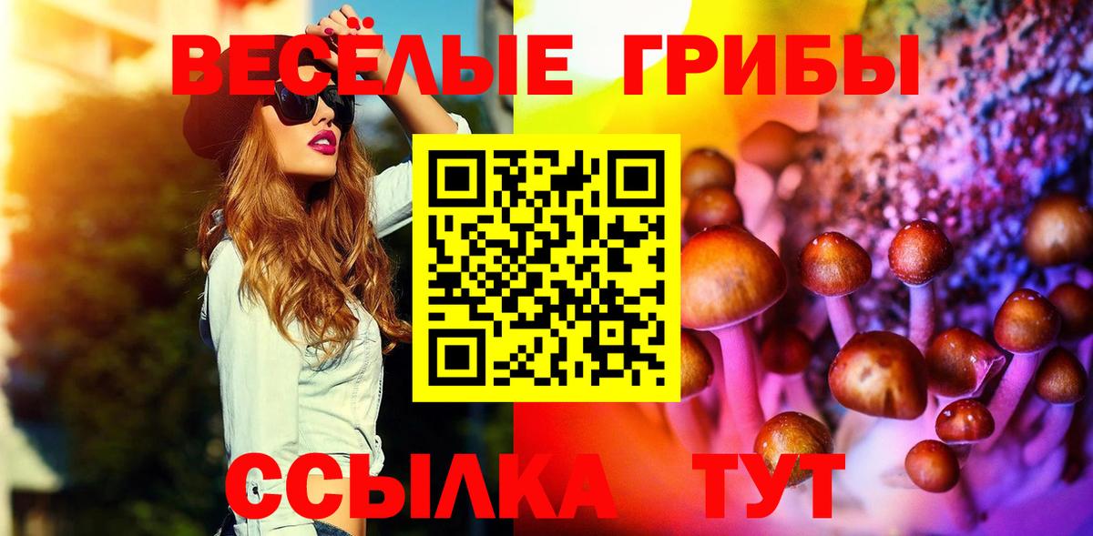 Галлюциногенные грибы прущие грибы  Вход с VPN  Петрозаводск 